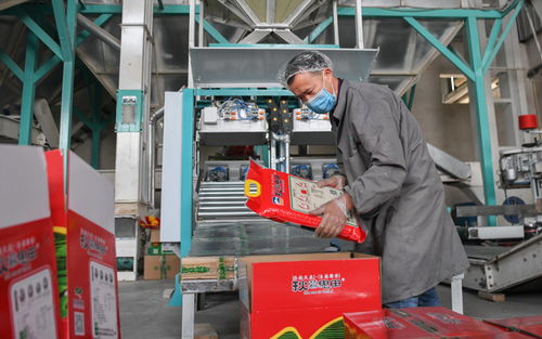 湖北当阳 农业复产正当时，农产品加工助力乡村振兴