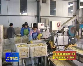 我区着力做大做强农业重点项目 农产品加工实现高质量发展