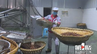 重庆农产品加工业定下“小目标” 3年增加1000亿元产值