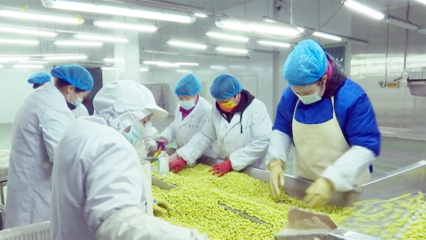 兰西特色农产品 从田间走向全国，农产品加工撬动产业升级