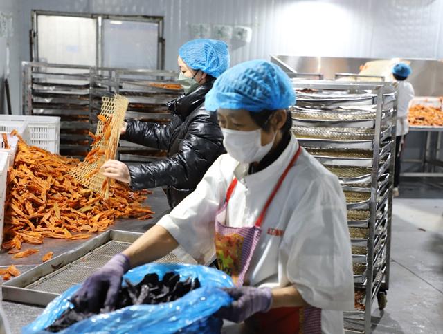 春节不停产 农产品加工忙