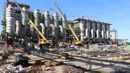 我省以农产品加工为切口，创新招商模式推动农业产业升级