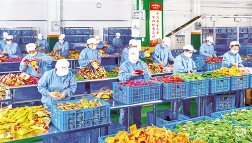 广西推动农产品加工业集聚发展，助力农业现代化转型