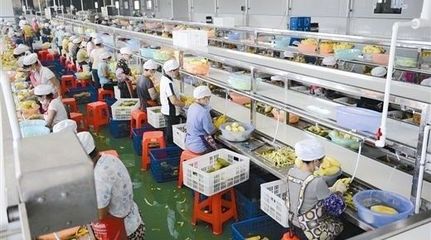 抓住农业的未来！新机遇都在这五座“金矿”——初级农产品购销