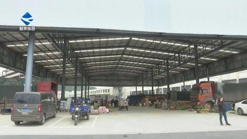 华南农产品交易中心蔬菜交易区正式启用 助力初级农产品高效流通